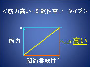 筋力高く柔軟性高いタイプ