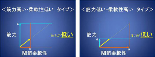 左：筋力高く、柔軟性低いタイプ　右：筋力低く、柔軟性高いタイプ